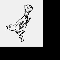 ROBIN2.LBM
