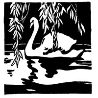 RIVRSWAN.LBM