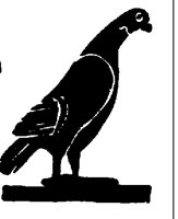 PIDGEON.LBM