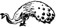 PEAFOWL.LBM