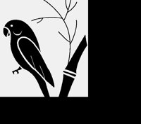 PARROT1.LBM