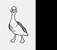 GOSLING.LBM
