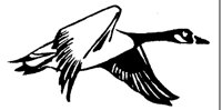 FLYGOOSE.LBM