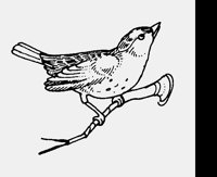 FINCH.LBM