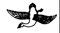 DIVEDUCK.LBM