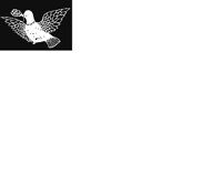 BIRD3.LBM