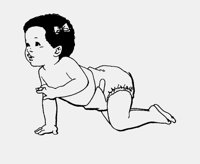 CRAWL.LBM