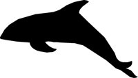 WHALE.LBM