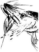 PIKE.LBM
