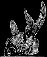 GLDFISH.LBM