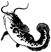 CAT_FISH.LBM