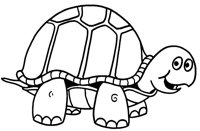 TORTOISE.LBM