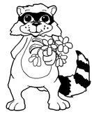 RACOON2.LBM