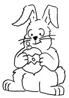 RABIT.LBM
