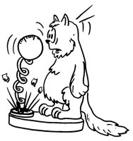 FATCAT.LBM