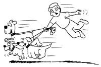 CTNDOG7.LBM