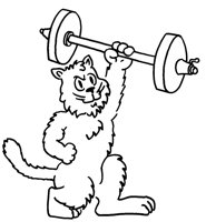 CTNCAT7.LBM