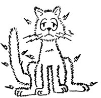 CTNCAT6.LBM