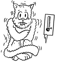 CTNCAT3.LBM