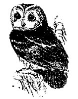 TAWNYOWL.LBM