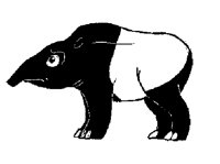 TAPIR.LBM