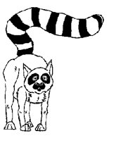 RINGCAT.LBM