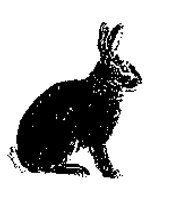RABBIT.LBM
