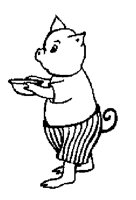 PIGLET.LBM