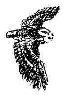 OWLFLY1.LBM