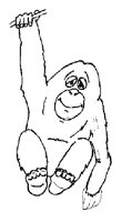 ORANGUT.LBM