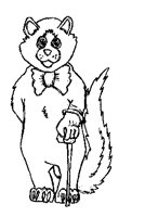 MARTEN.LBM