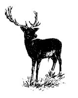 FALLOW.LBM