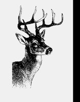 DEER3.LBM
