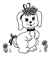 CUTEDOG.LBM