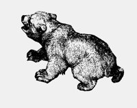 BEARCUB.LBM