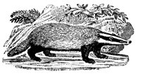 BADGER2.LBM
