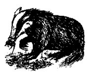 BADGER.LBM