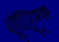 ANFROG.LBM
