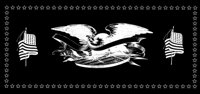 EAGLE3.LBM