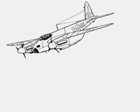 MOSQUITO.LBM