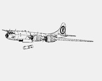 B29.LBM