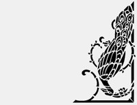 BIRDLR.LBM