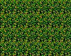 IMG116.IFF.cst.iff