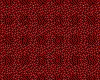 IMG106.IFF.cst.iff