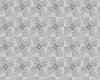 IMG050.IFF.gst.iff