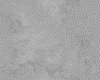 IMG038.IFF.gst.iff