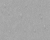 IMG035.IFF.gst.iff