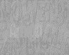 IMG031.IFF.gst.iff