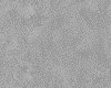 IMG018.IFF.gst.iff