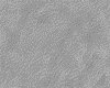 IMG017.IFF.gst.iff
